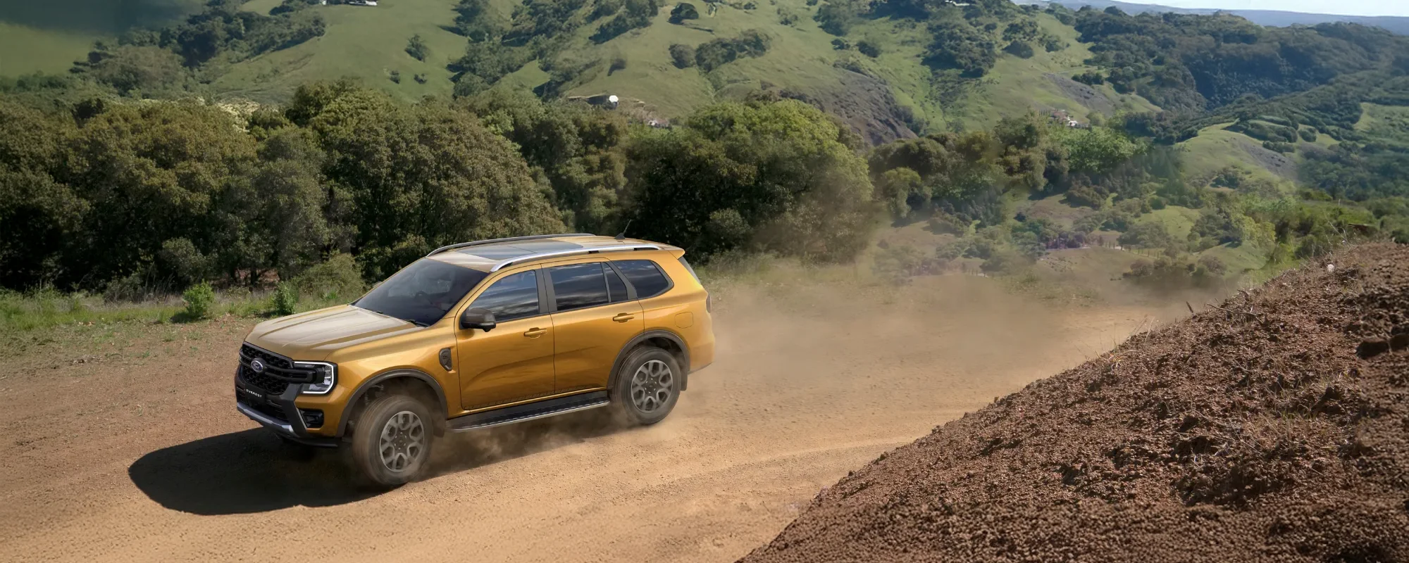 Everest Wildtrak Hp